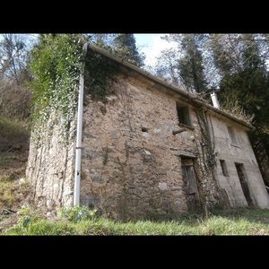 Meet your Posher, Connie